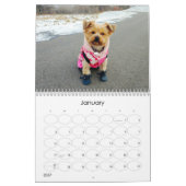 Mayzie Calendrier II (Style 2022) (Jan 2027)