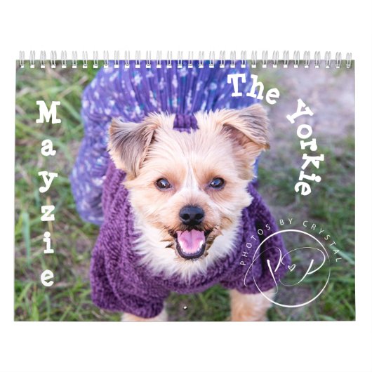 Mayzie Calendrier II (Style 2022) (Protection)