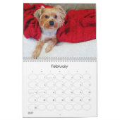 Mayzie Calendrier III (Style 2023) (Feb 2027)