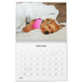 Mayzie Calendrier III (Style 2023) (Jan 2027)