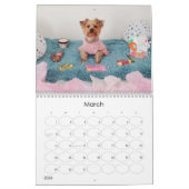 Mayzie Calendrier III (Style 2023) (Mar 2026)