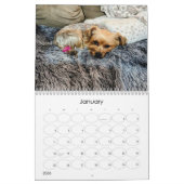 Mayzie Calendrier IV (Style 2024) (Jan 2026)