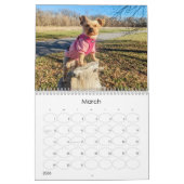 Mayzie Calendrier IV (Style 2024) (Mar 2026)