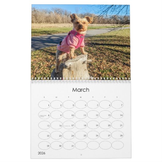 Mayzie Calendrier IV (Style 2024) (Mar 2026)