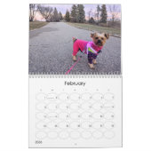 Mayzie Calendrier IV (Style 2024) (Feb 2026)