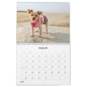 Mayzie Calendrier VI (Style 2025) (Mar 2027)