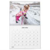 Mayzie Calendrier VI (Style 2025) (Jan 2026)