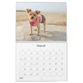 Mayzie Calendrier VI (Style 2025) (Mar 2026)