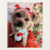 Mayzie Planner (Voorkant)