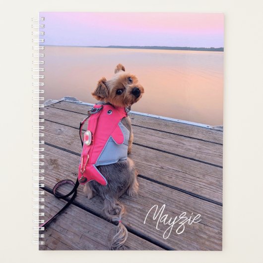 Mayzie Planner II (Devant)