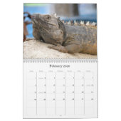 Mazatlan Mexico Kalender (Feb 2026)