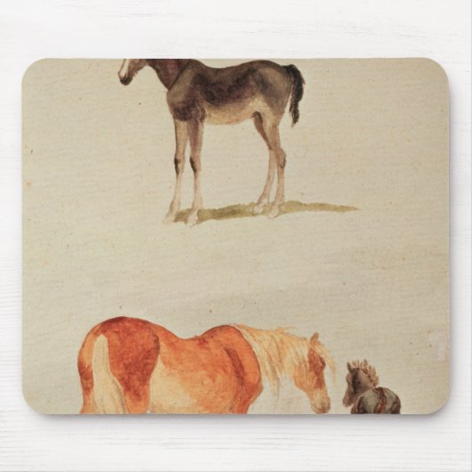 Mazen en foalen muismat (Voorkant)