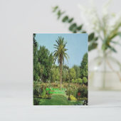 Mc Kinley park Sacramento post card Briefkaart (Staand voorkant)