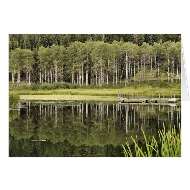 McCall Pond (Voorkant Horizontaal)