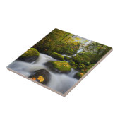 McCord Creek Bigleaf Maple | Columbia Gorge, OF Tegeltje (Zijkant)