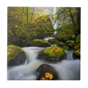 McCord Creek Grote esdoorn Columbia Gorge, OR Tegeltje