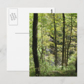 McCormick's Creek-Briefkaart Briefkaart (Voorkant / Achterkant)