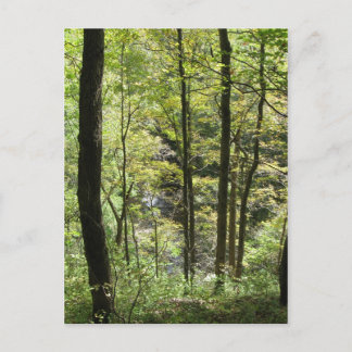 McCormick's Creek-Briefkaart Briefkaart