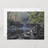 McCormicks Creek Canyon-Herfsten Briefkaart (Voorkant / Achterkant)