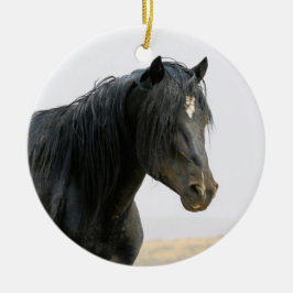 McCullough Peaks Wild Horse Jet Stream Ceramic Orn Keramisch Ornament