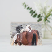 McCullough Peaks Wild Horses Briefkaart (Staand voorkant)