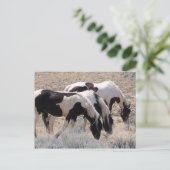 McCullough Peaks Wild Horses Briefkaart (Staand voorkant)