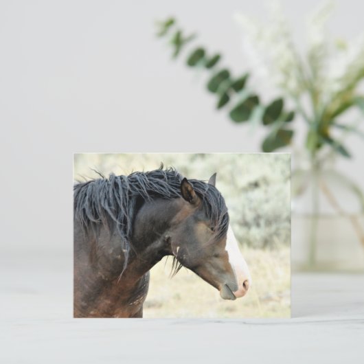 McCullough Peaks Wild Horses Briefkaart (Staand voorkant)