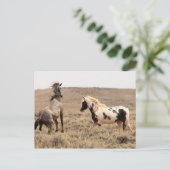 McCullough Peaks Wild Horses Briefkaart (Staand voorkant)