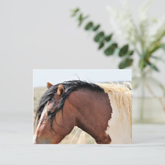 McCullough Peaks Wild Horses Briefkaart (Staand voorkant)