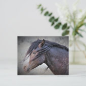 McCullough Peaks Wild Horses Briefkaart (Staand voorkant)