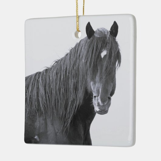 McCullough Peaks Wild Horses Ceramic Ornament (Links)