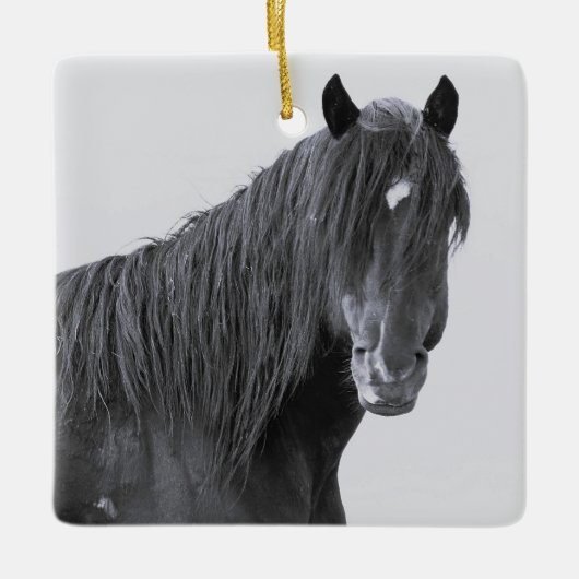McCullough Peaks Wild Horses Ceramic Ornament (Voorkant)