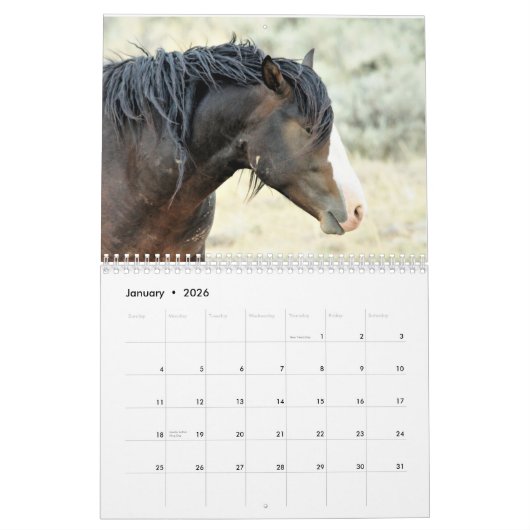 McCullough Peaks Wild Horses Kalender (Jan 2026)
