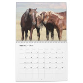 McCullough Peaks Wild Horses Kalender (Feb 2026)