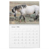 McCullough Peaks Wild Horses Kalender (Jan 2026)