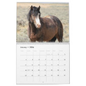 McCullough Peaks Wild Horses Kalender (Jan 2026)