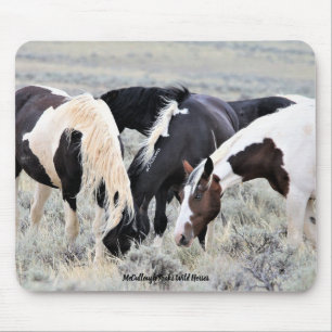 McCullough Peaks Wild Horses Muismat