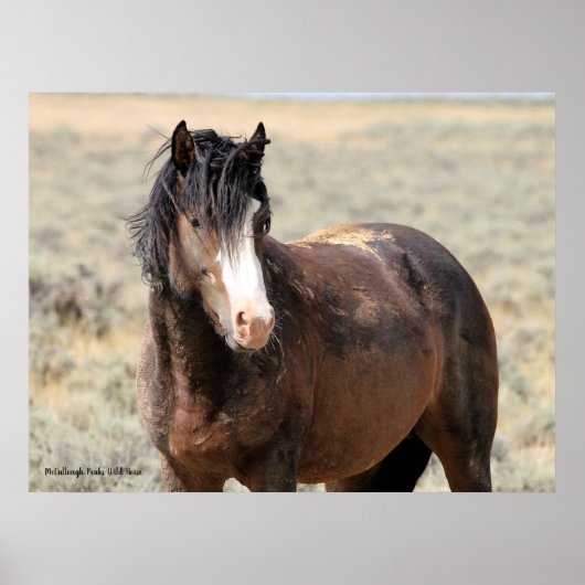 McCullough Peaks Wild Horses Poster (Voorkant)