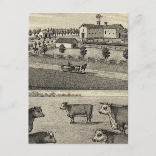 McDonald Boerderij, Nebraska Briefkaart (Voorkant)