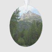 McDonald Creek au parc national des Glaciers (devant)