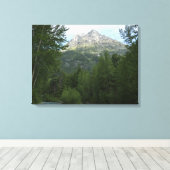 McDonald Creek in Glacier National Park Canvas Afdruk (Insitu (Houten vloer))