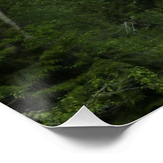 McDonald Creek in Glacier National Park Perfect Poster (Hoek)