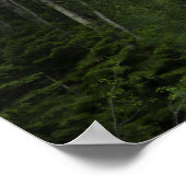 McDonald Creek in Glacier National Park Poster (Hoek)