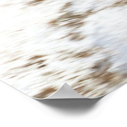 McDonnell Douglas F-15 Eagle Poster (Hoek)