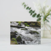 McDowell Creek, Oregon Briefkaart (Staand voorkant)