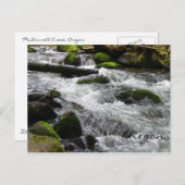 McDowell Creek, Oregon Briefkaart (Voorkant / Achterkant)