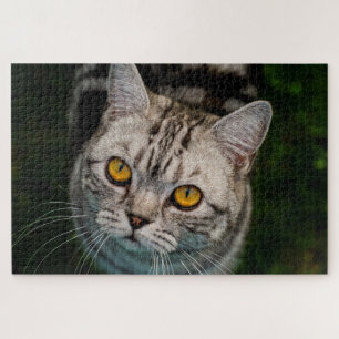 McGonagall kattenpuzzel Legpuzzel