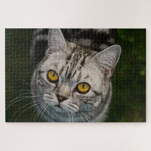 McGonagall kattenpuzzel Legpuzzel (Horizontaal)