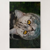 McGonagall kattenpuzzel Legpuzzel (Verticaal)