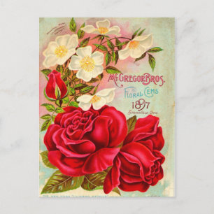 McGregor Bros. Floral Pareltjes Advertisement Briefkaart